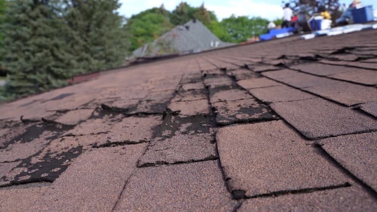 Best Roof Leak Repair  in Wellsville, OH
